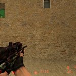 AWP