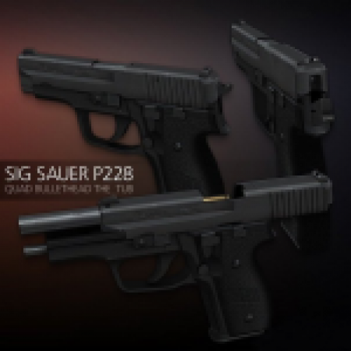 Sig Sauer P228