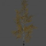 tesv_tree01