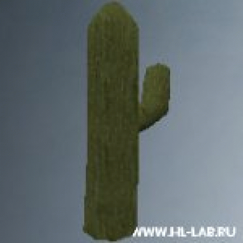 cactus04.zip