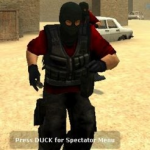 Red And Grey Phoenix Skin