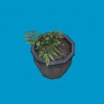 potted plants10