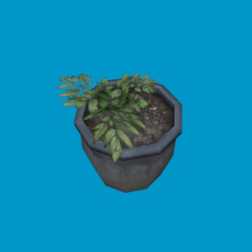 potted plants10