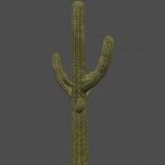 desert_cactus_01