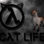 Cat-Life Demo