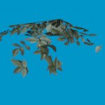 vegetation smallclump