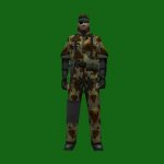 BigBoss_Fly