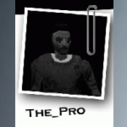 the_pro