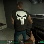 Punisher francis