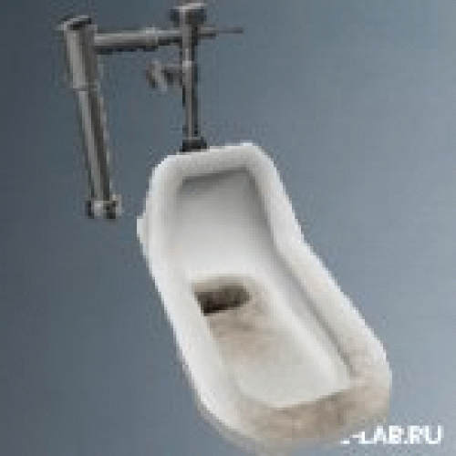 toilet4