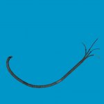 wireset3