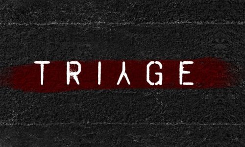 Triage - new single mod for Half-Life 2