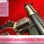 LR-300 Phonged