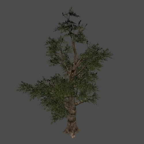fnv_tree02
