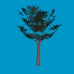 tree1_lod1