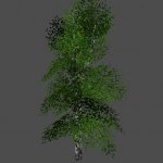 buisson28