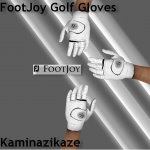 FootJoy_Golf_Gloves_v1