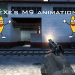 .eXe&acute;s Cod4 MW2 M9 Animations