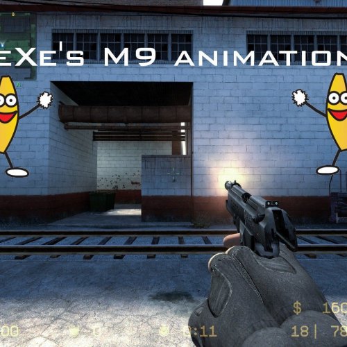 .eXe's Cod4 MW2 M9 Animations