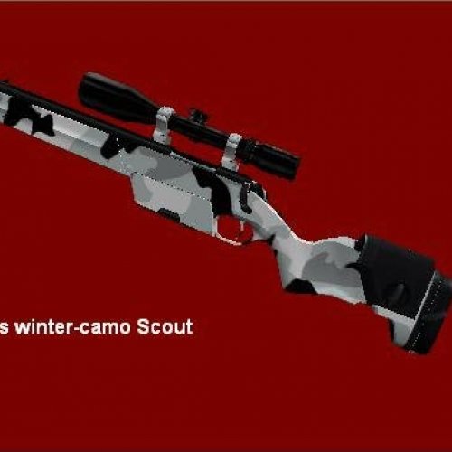 Takeshi s winter-camo scout