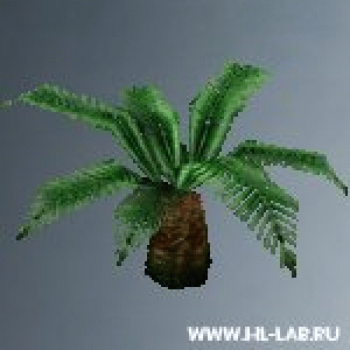 bush_palmplant.zip