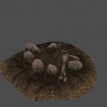 D1_SGS_Prop_DinoNest_Mud