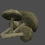 fnv_fungus