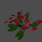 pc_Flower_03_Mesh