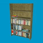 bookshelf2