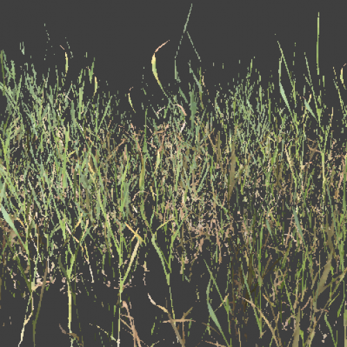 grass_pack3