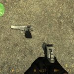 Stoke&acute;s Desert Eagle