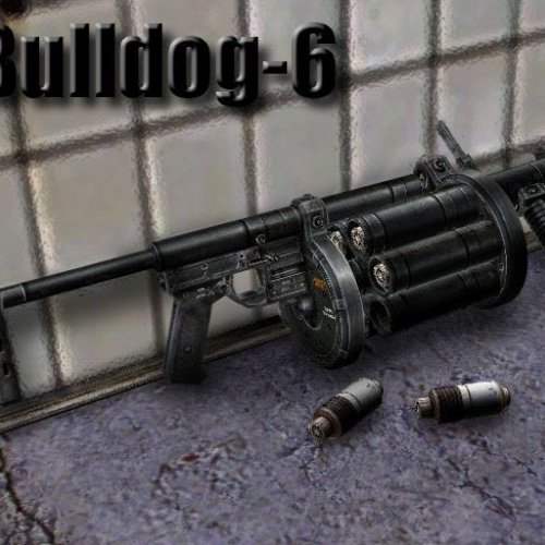 Stalker Bulldog-6