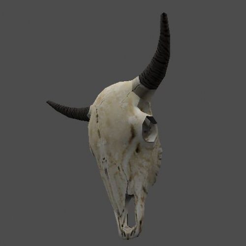 cc_cow_skull