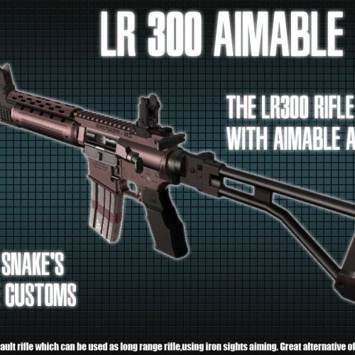 LR-300 Aimable
