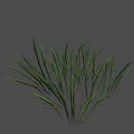 pc_S_ValleyGreenGrass_Marsh