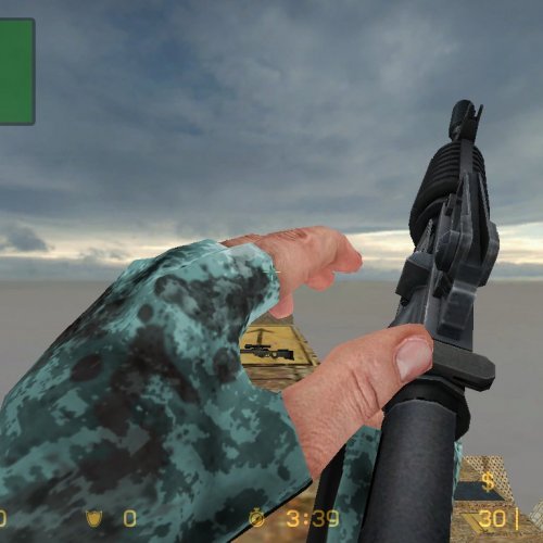 Frost_Camo_Gloves