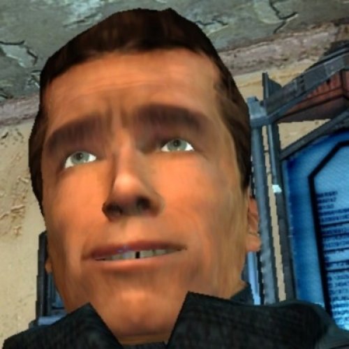 Schwarzenegger Face Reskin toBarney