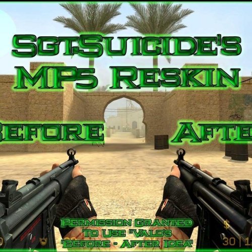 MP5 Enhanced Reskin