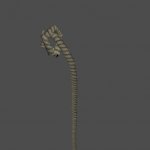 rope2