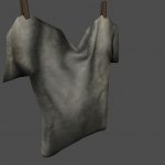 AF_laundry_shirt