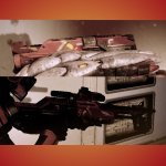 M-29 Incisor Red&Yellow