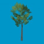 tree2_lod2