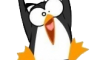 Уже скоро, Steam для Linux
