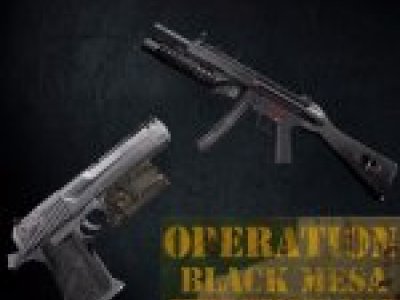 Operation: Black Mesa Style Pack