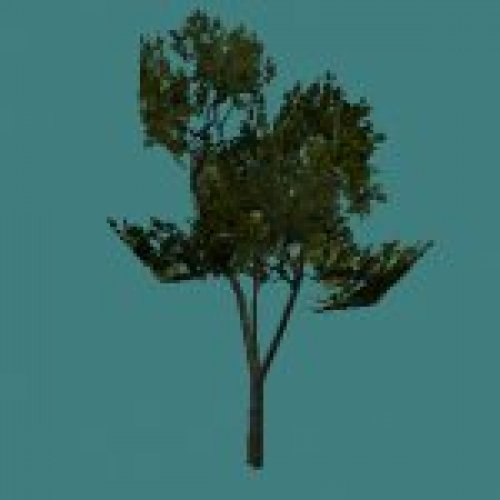 forge_tree3.mdl