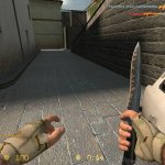 Rochenback_s_Desert_Glove