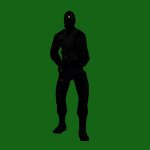 Shadownet