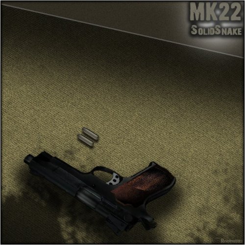 Mk22 Custom