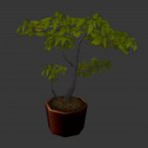 plant_potted.mdl