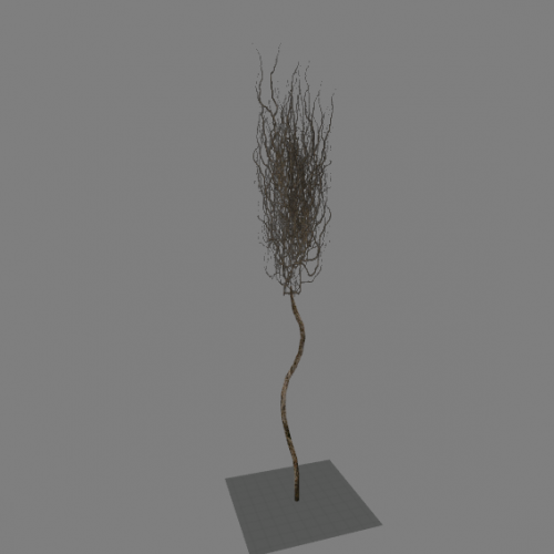 l10_swamp_kamysh_tree2